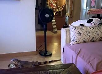 Cette française est en live sur Nasty.flirt !
