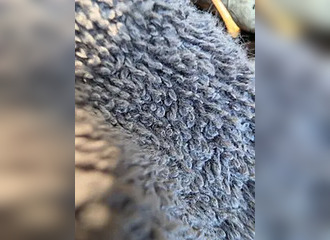 Cette française est en live sur Nasty.flirt !